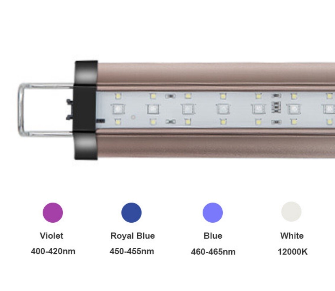 Zetlight Lancia II ZP4000-590mm 24W MARINE