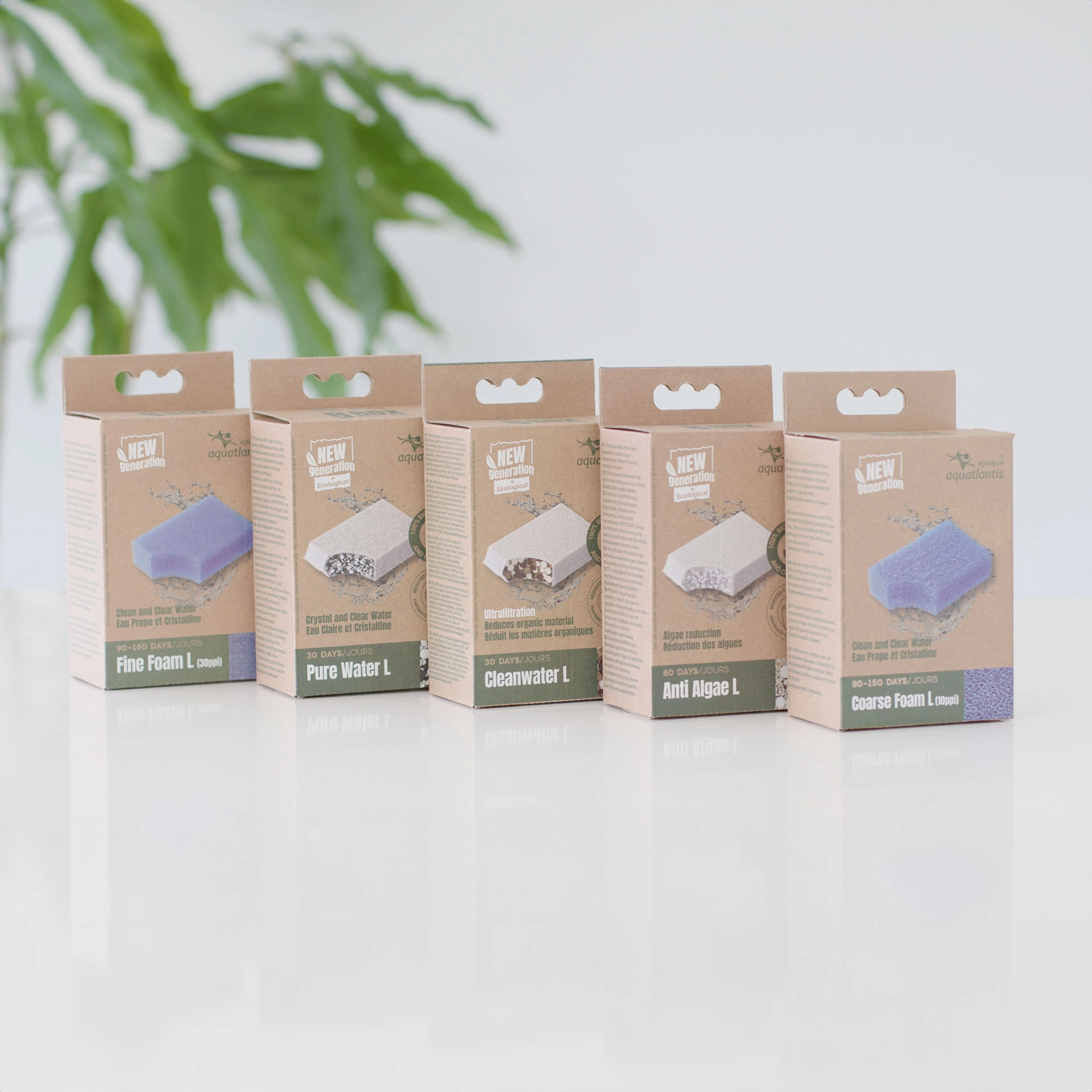 RECHARGE B-BOX COARSE FOAM L